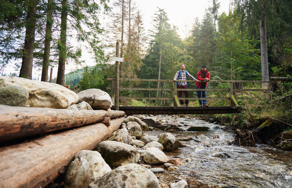 Männer beim Wandern im Wald