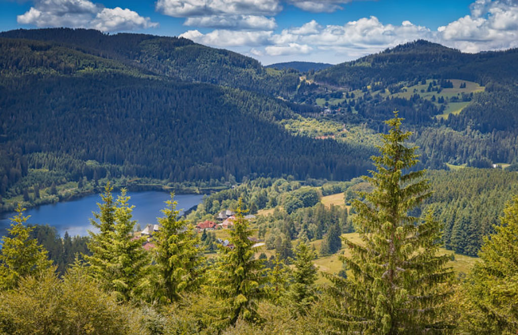 Schluchsee_Schwarzwald