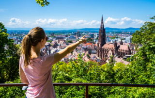 Blick auf Freiburg