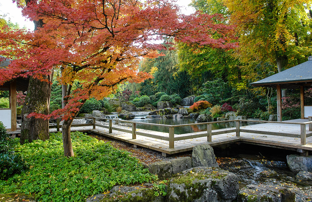 Botanischergarten in Augsburgaugsburg