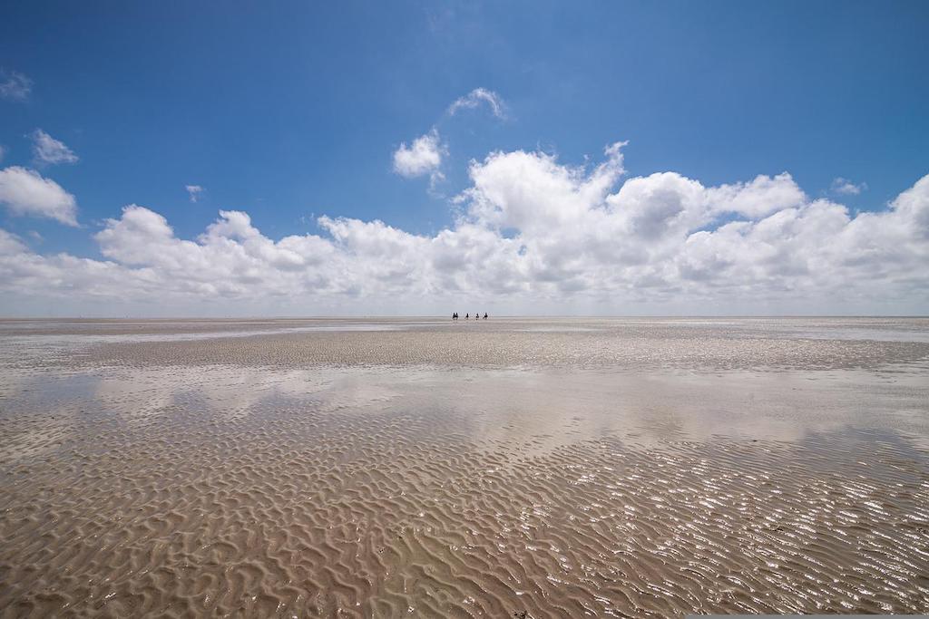 Wattwanderung Langeoog