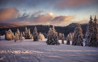 Schwarzwald im Winter