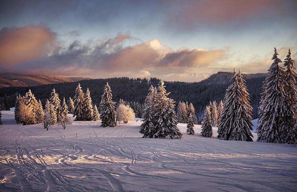 Schwarzwald im Winter