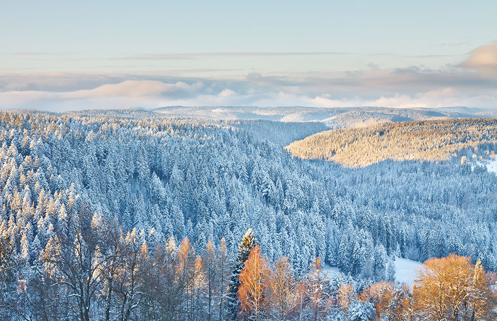 Winterwunderland Schwarzwald